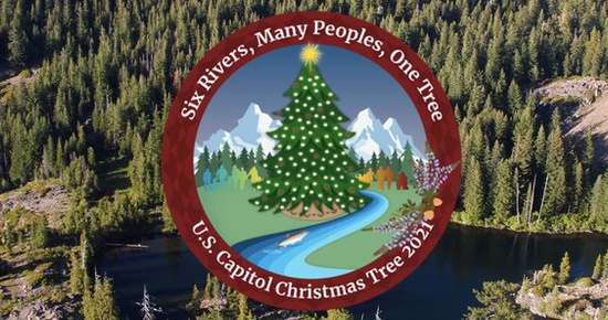 U.S. Capital Christmas Tree Will Hail From Six Rivers National Forest, Ornaments, Tree Skirts, Needed - Vimarsana News