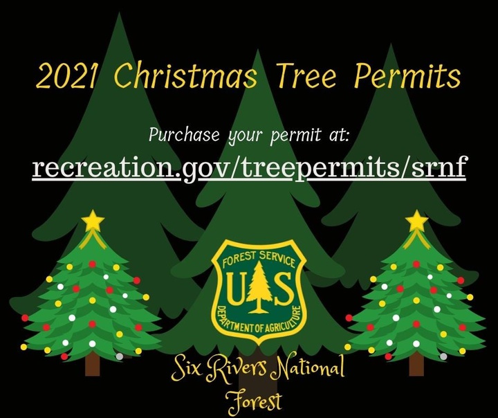 Six Rivers' Christmas Tree Permits On Sale Starting Nov. 1